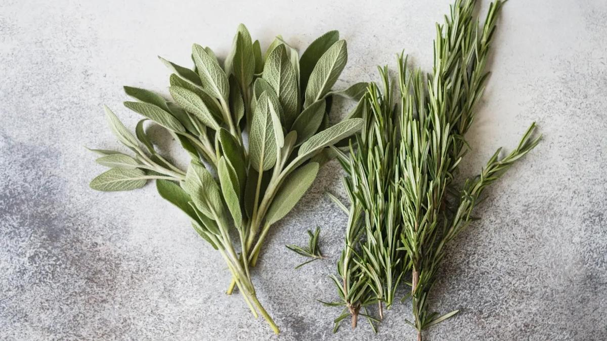 Featured image for Kitchen Herb Ingredient Shows Promise Against Alzheimer's, Caution Advised