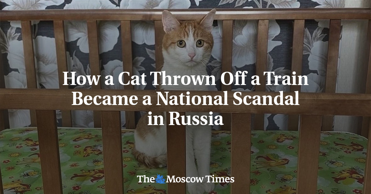 Featured image for "Outrage in Russia as Pet Cat Dies After Being Thrown Off Train"