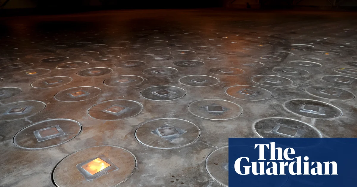 Featured image for Radioactive Wasps Discovered at U.S. Nuclear Site in South Carolina