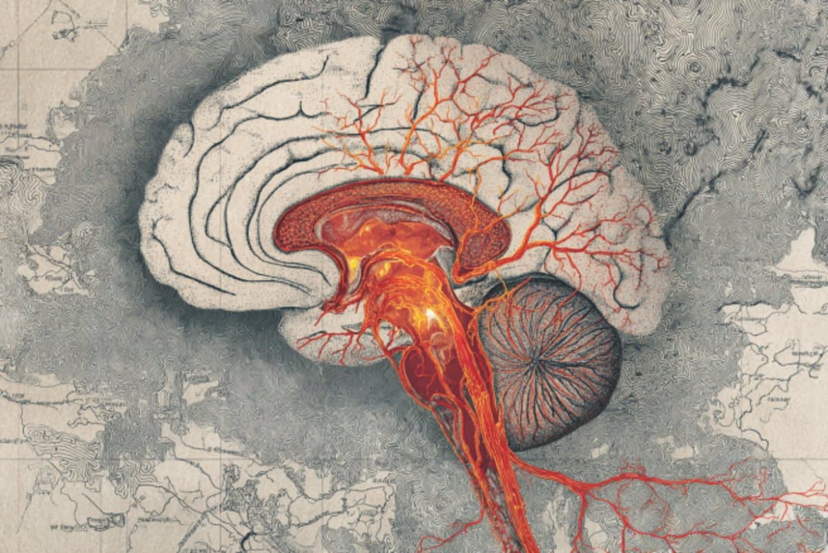 Featured image for Persistent Brain Changes May Increase Depression Relapse Risk