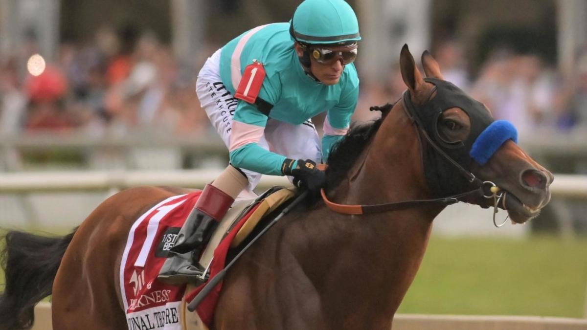 Featured image for Expert Picks and Contenders for 2023 Belmont Stakes