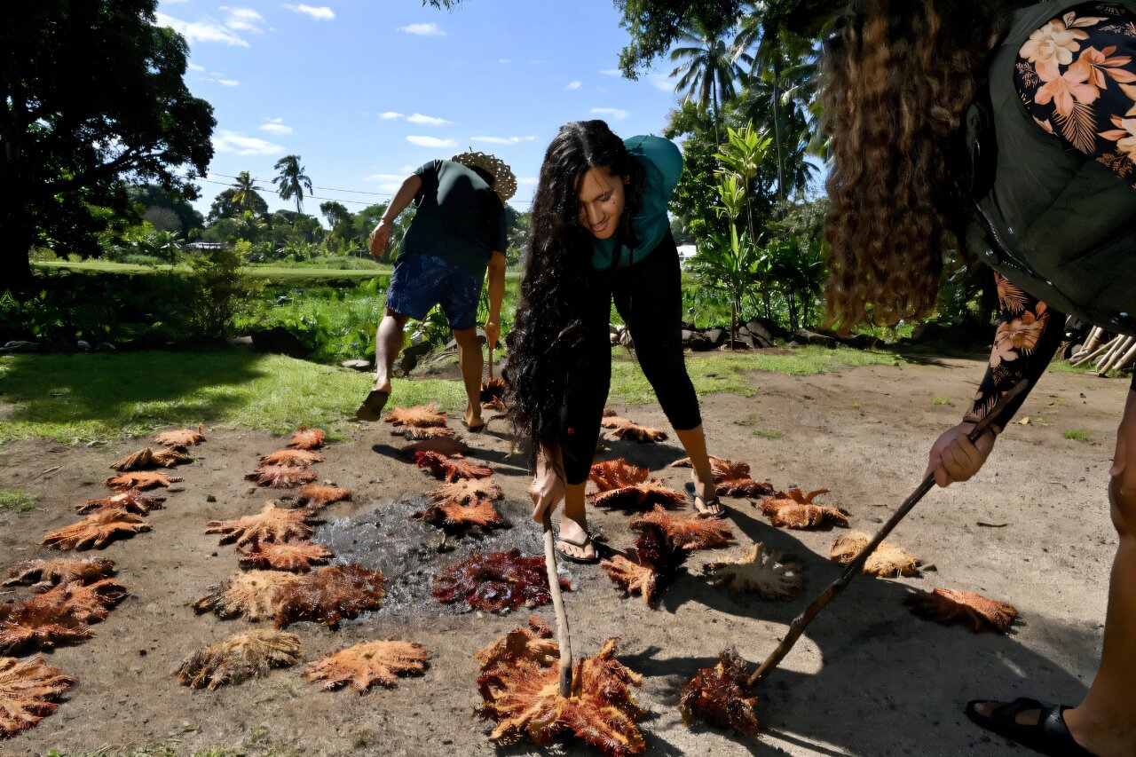 Featured image for Cook Islands Battles Spread of Hungry Starfish