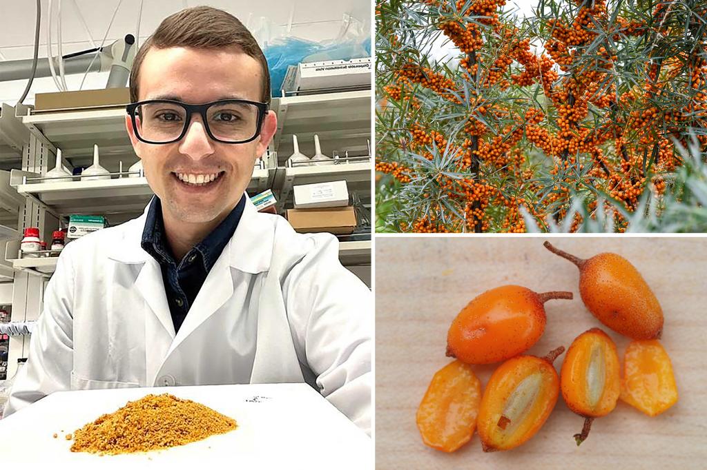 "The Strange Fruit: Your Weight Loss Gamechanger"
