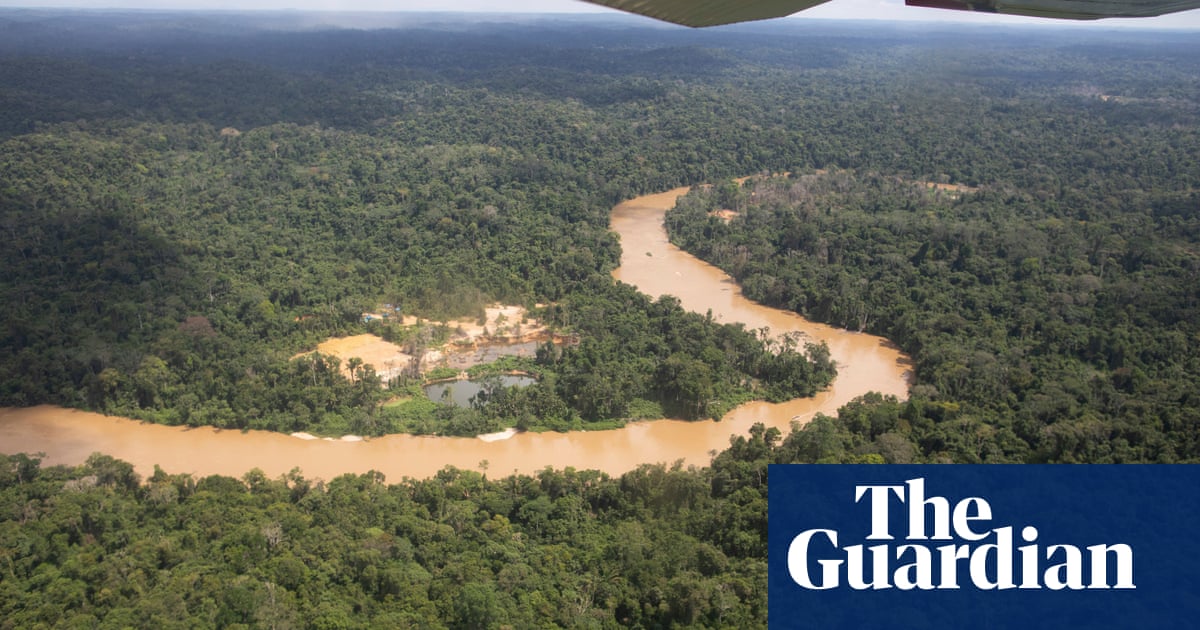 Featured image for "Amazon Rainforest on Brink of Collapse, Scientists Warn of Impending Tipping Point"