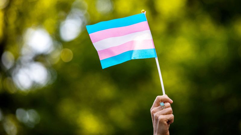 Lawsuits challenge Florida's ban on gender-affirming care for trans youth.