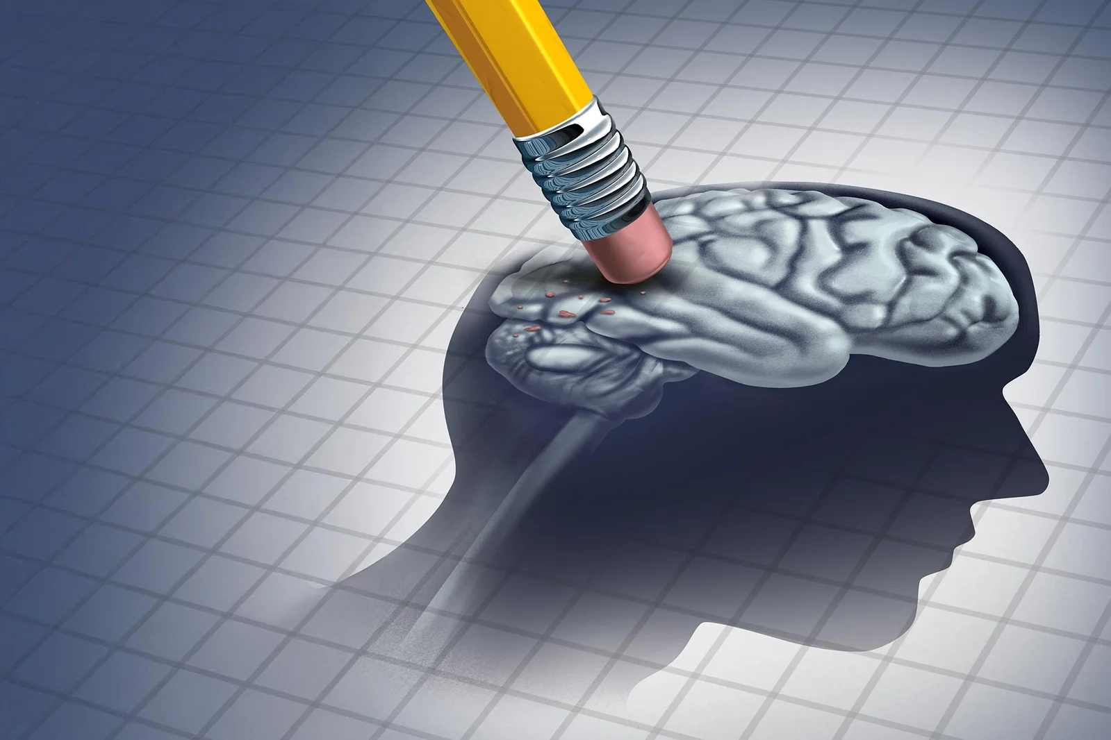 New Gut-Brain Link Points to ALS/FTD Treatments