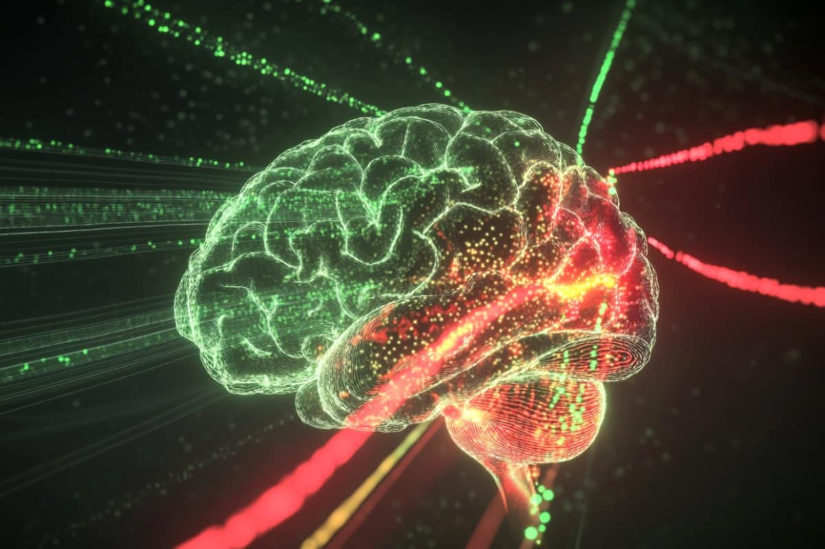 Featured image for Neurons Function as Traffic Lights to Regulate Movement