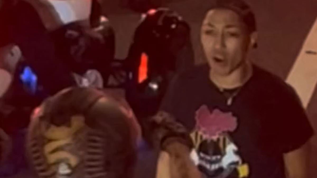 Featured image for "Brave Mom Confronts Biker Thugs in Terrifying Car Attack"