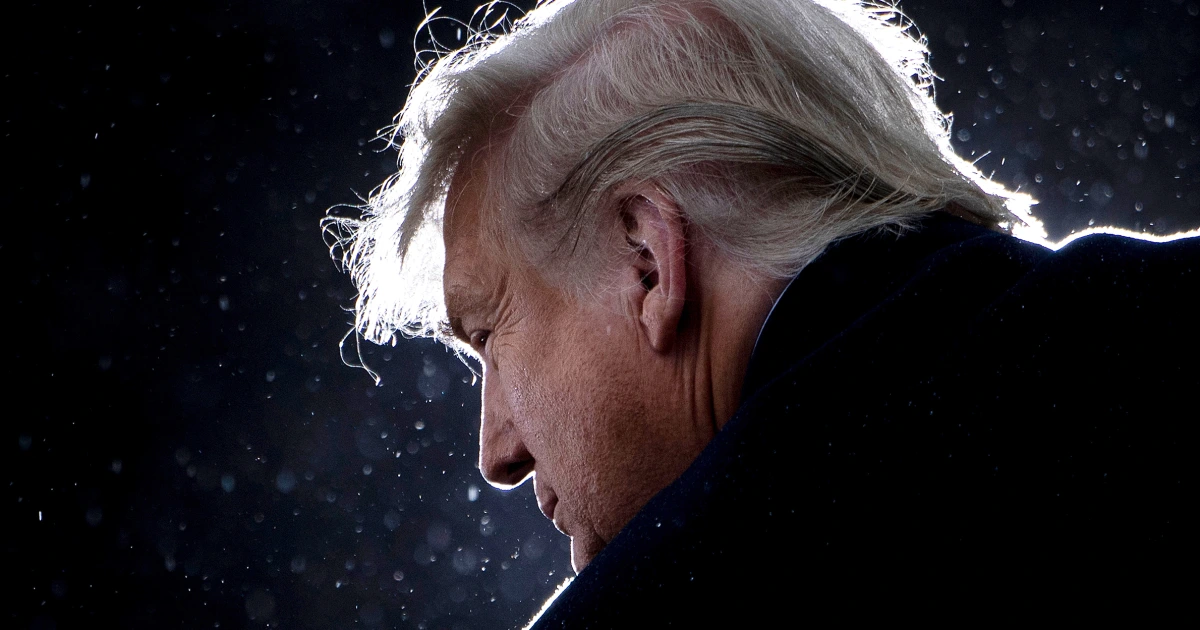Trump Secures Michigan Victory in 2024 Election