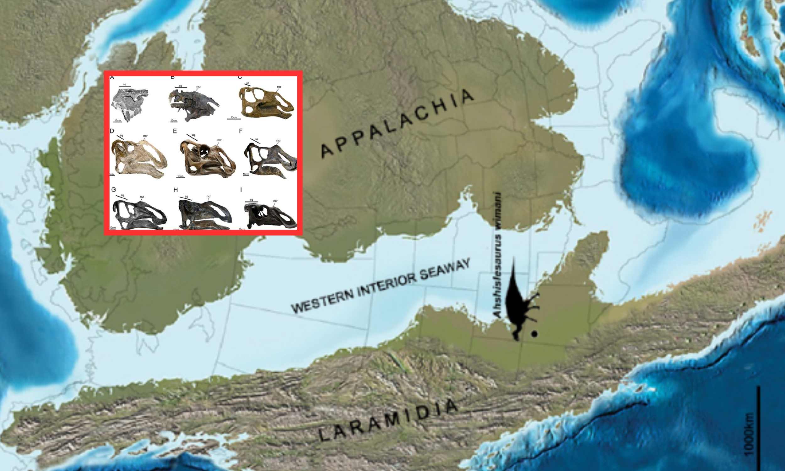 Featured image for Massive Duck-Faced Dinosaur Discovered in New Mexico