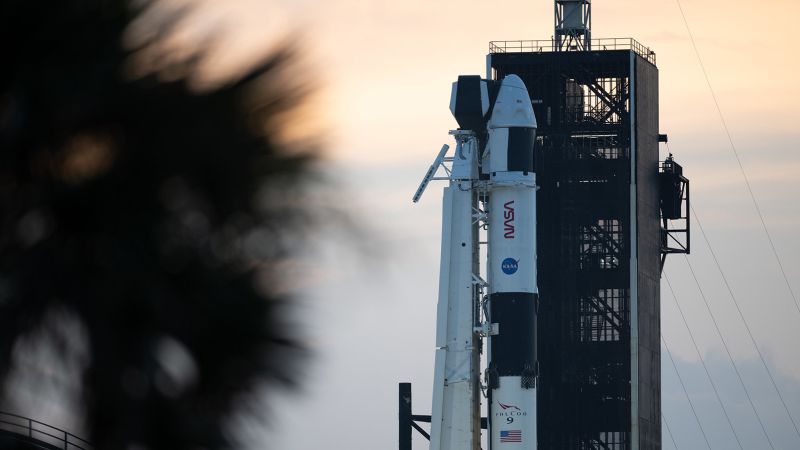 SpaceX and NASA postpone Crew-7 astronaut launch for further analysis