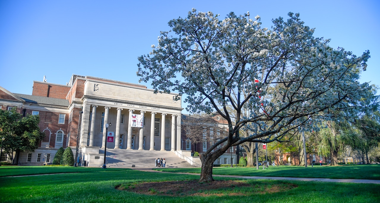 Featured image for "Alabama Legislature Bans DEI Programs at Colleges and Universities"