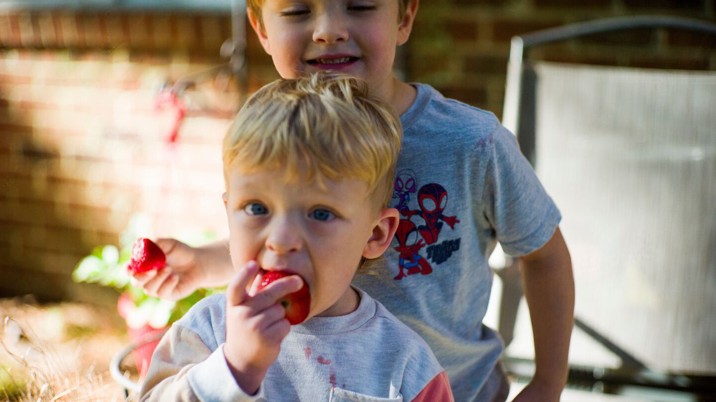 Featured image for WIC and Food Aid Programs Secure Funding Amid Government Shutdown