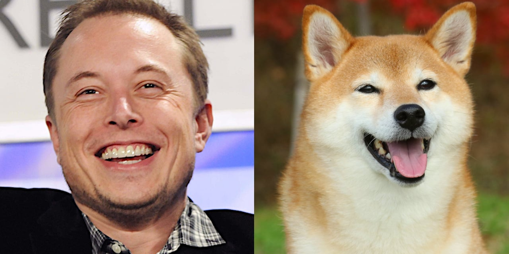 Dogecoin's Price Plummets Amidst Elon Musk's Twitter Silence.