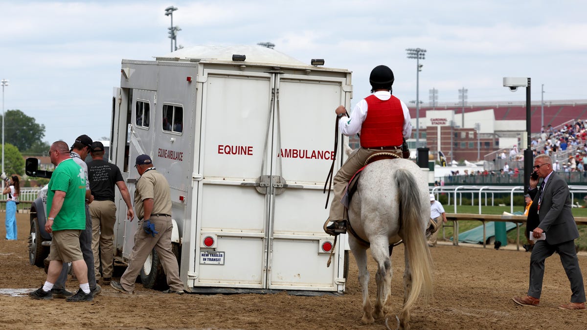 Churchill Downs sees 8th horse fatality in 3 weeks.