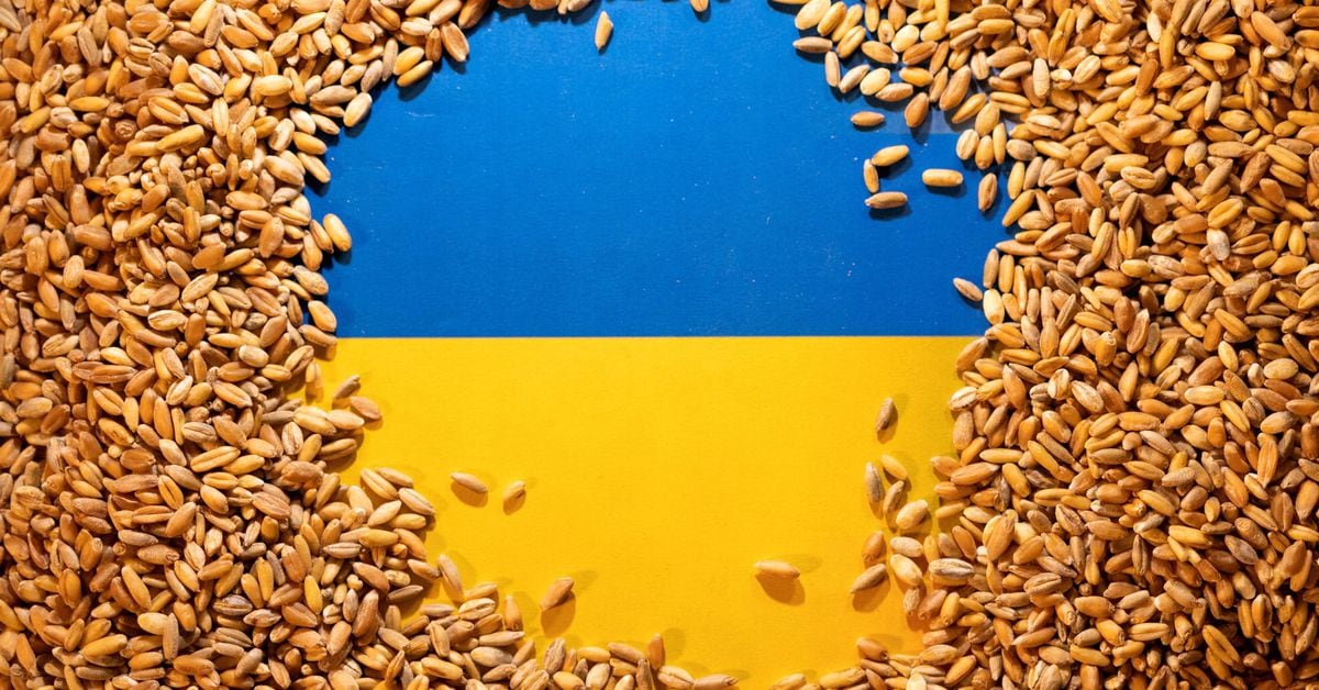 "EU and Ukraine reach agreement on grain transit with 5 member countries"