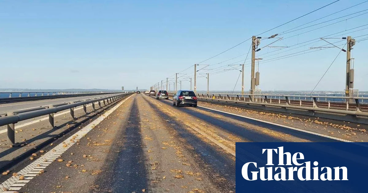 Danish bridge chaos caused by spilled potatoes, truck driver arrested.