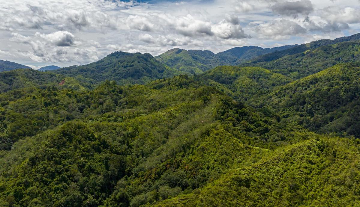 Featured image for Scientists Capture 200-Million-Year-Old Creature Thought Extinct