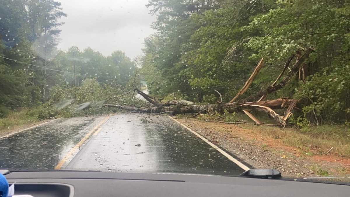 Featured image for Maine's Road Closures and Toppled Trees Caused by Lee's Strong Winds