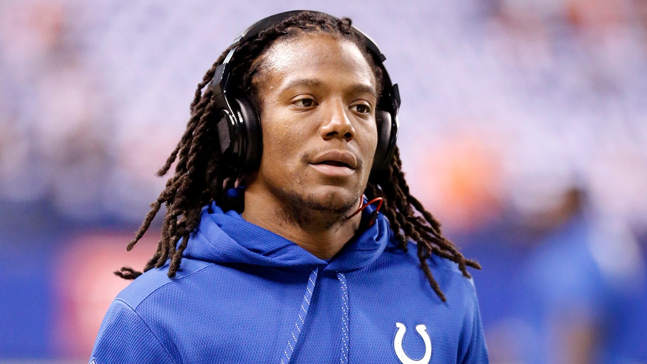 Sergio Brown's Violent Confrontation with Cops on Extradition Flight Caught on Video