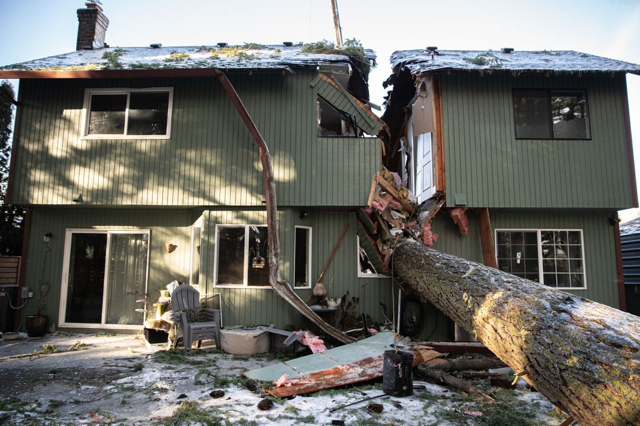 Featured image for "Denied Tree Removal Request Leads to Home Destruction in Portland"