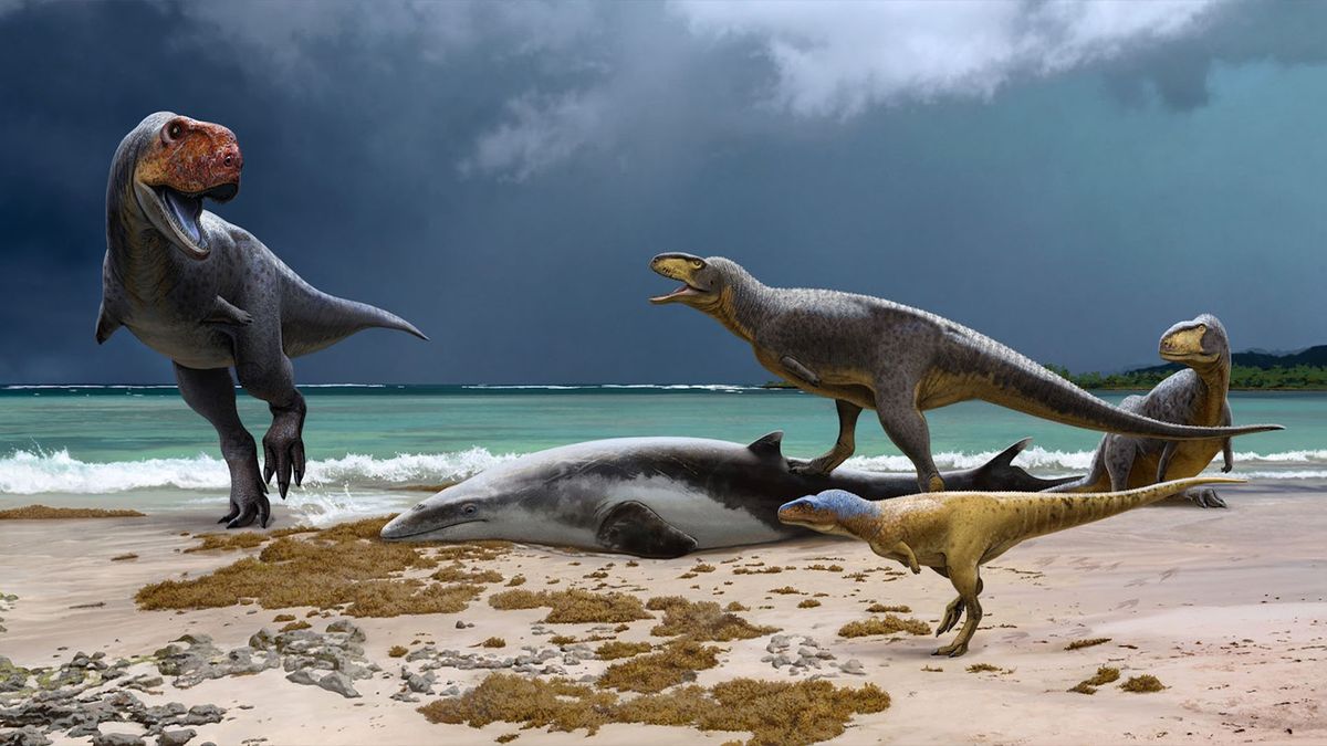 "Diverse Duckbilled Dinosaurs: Uncovering Africa's Prehistoric Thriving"