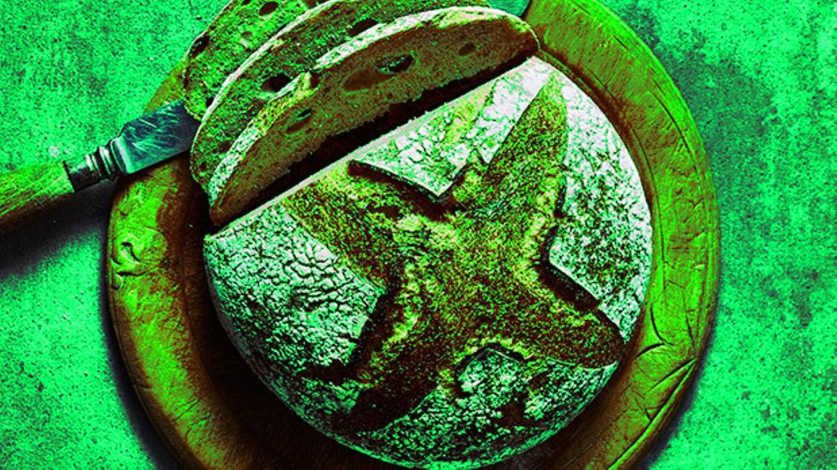 Featured image for Ancient Egyptian Bread Baked by Xbox Creator