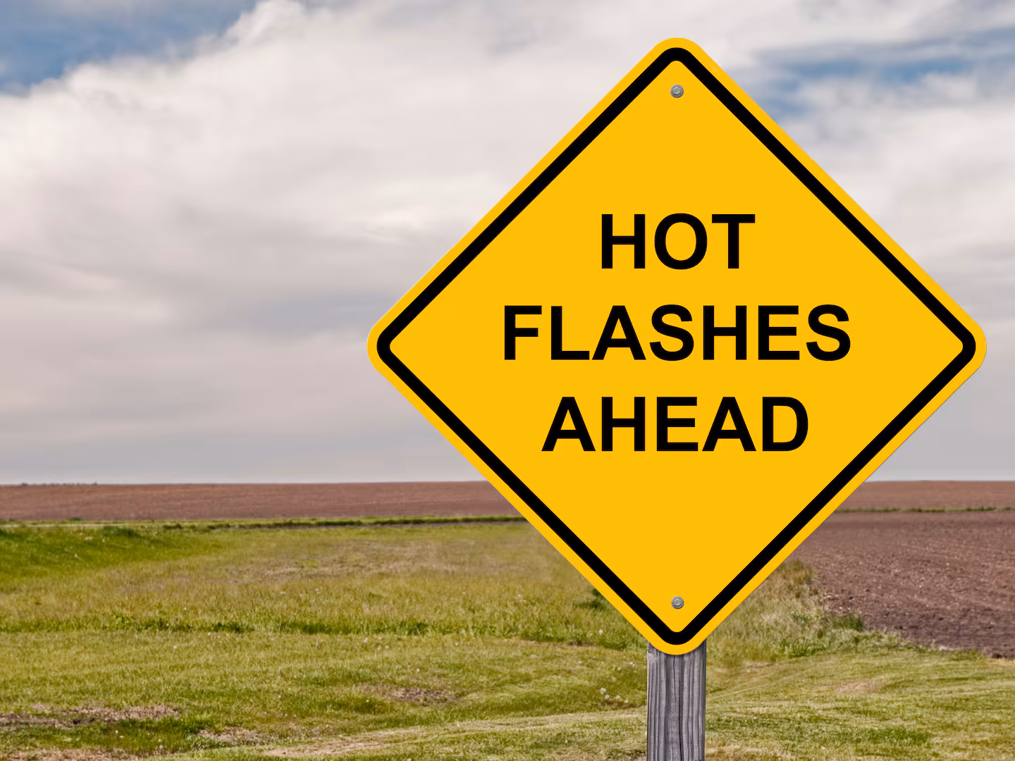 Featured image for The Rising Spotlight on Perimenopause and Menopause