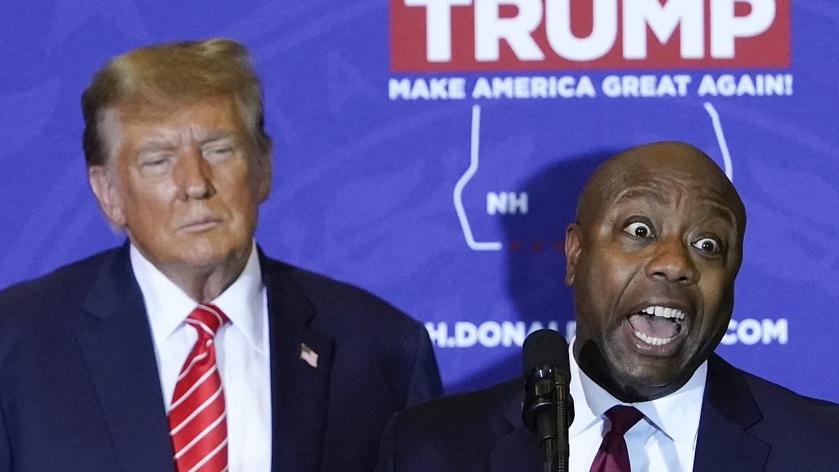 "Senator Tim Scott Announces Engagement and Trump's Playful Reaction"