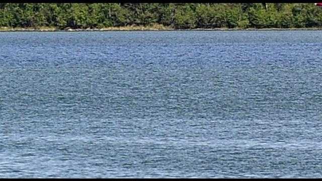 Gruesome Discovery: Human Remains Found in Barrel Floating in South Carolina Lake