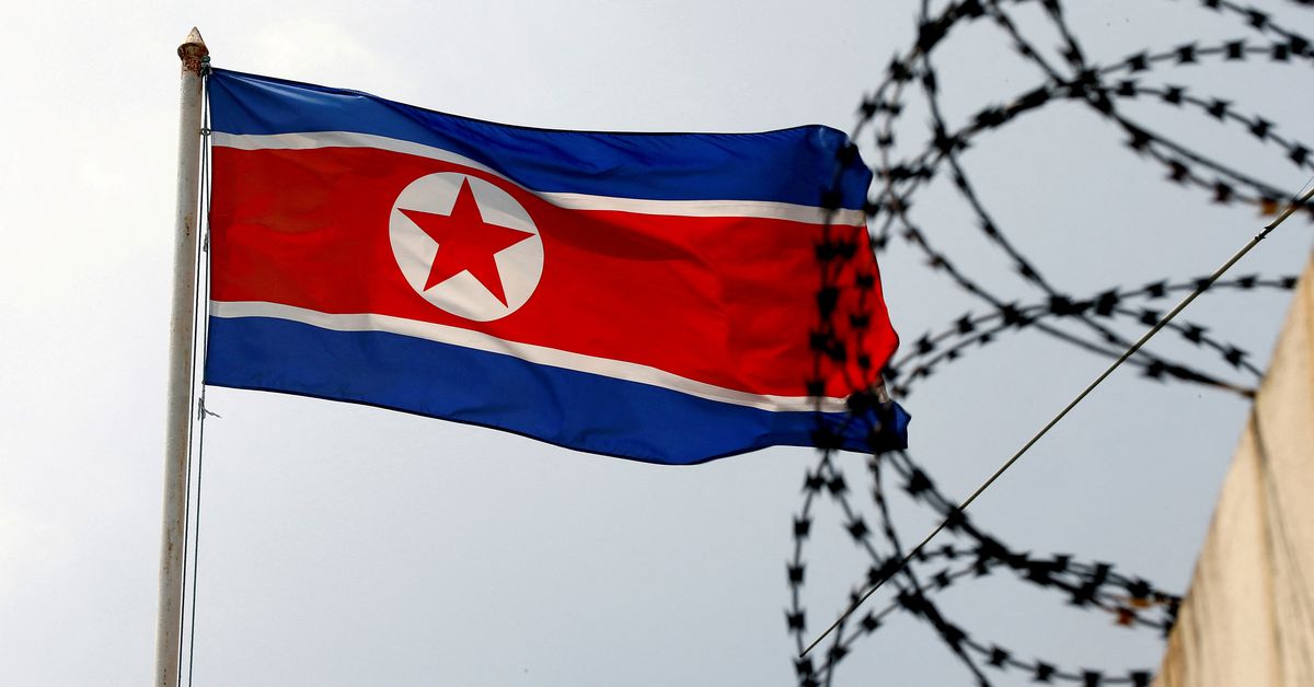 China's Attempt to Shield North Korea from Human Rights Accusations Condemned by US and West