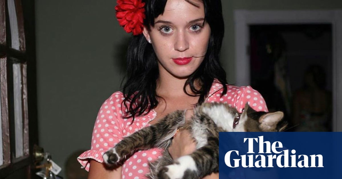 Featured image for "Cats' Purring Technique Linked to Vocal Fry and Ancient Predators"