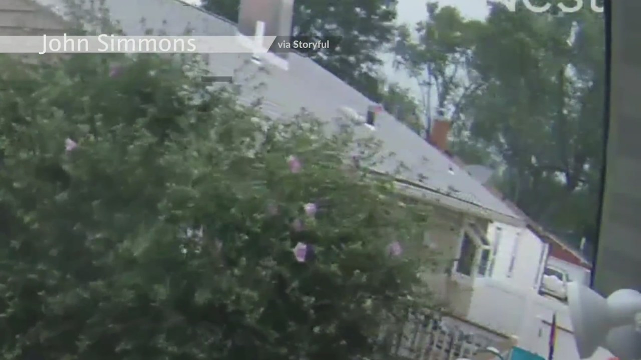 Featured image for Power Outage and Car Damage Caused by Falling Tree in O’Fallon Illinois