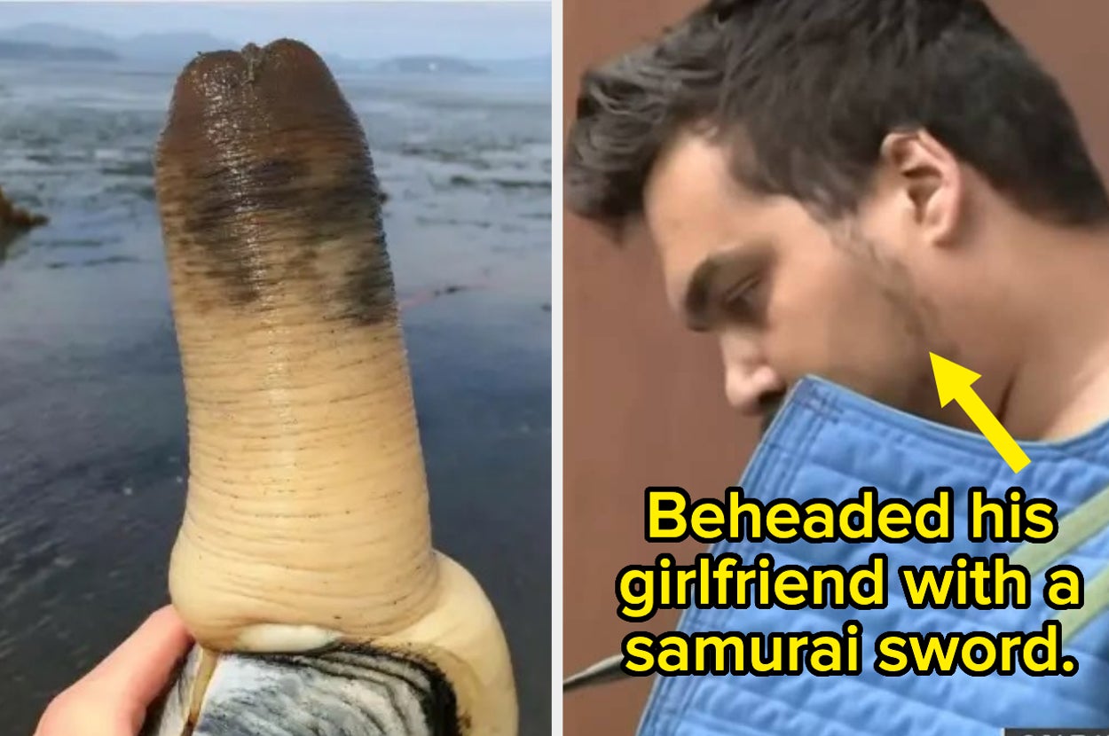 Featured image for Shocking Revelations Shatter My Innocence