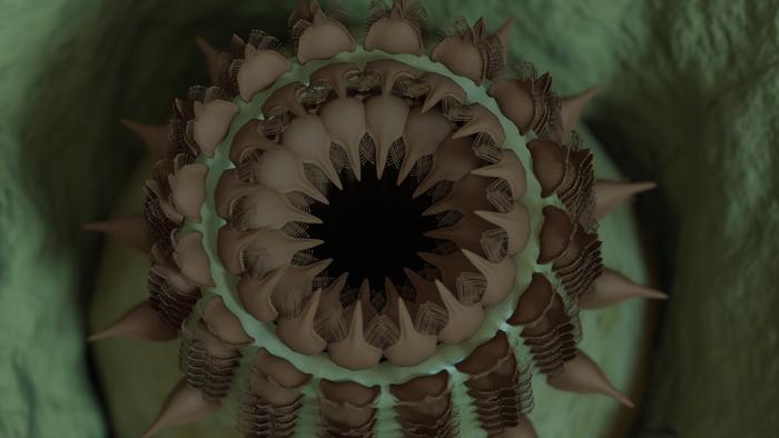 Featured image for Researchers Discover 'Star Wars' Creature Fossil in Grand Canyon