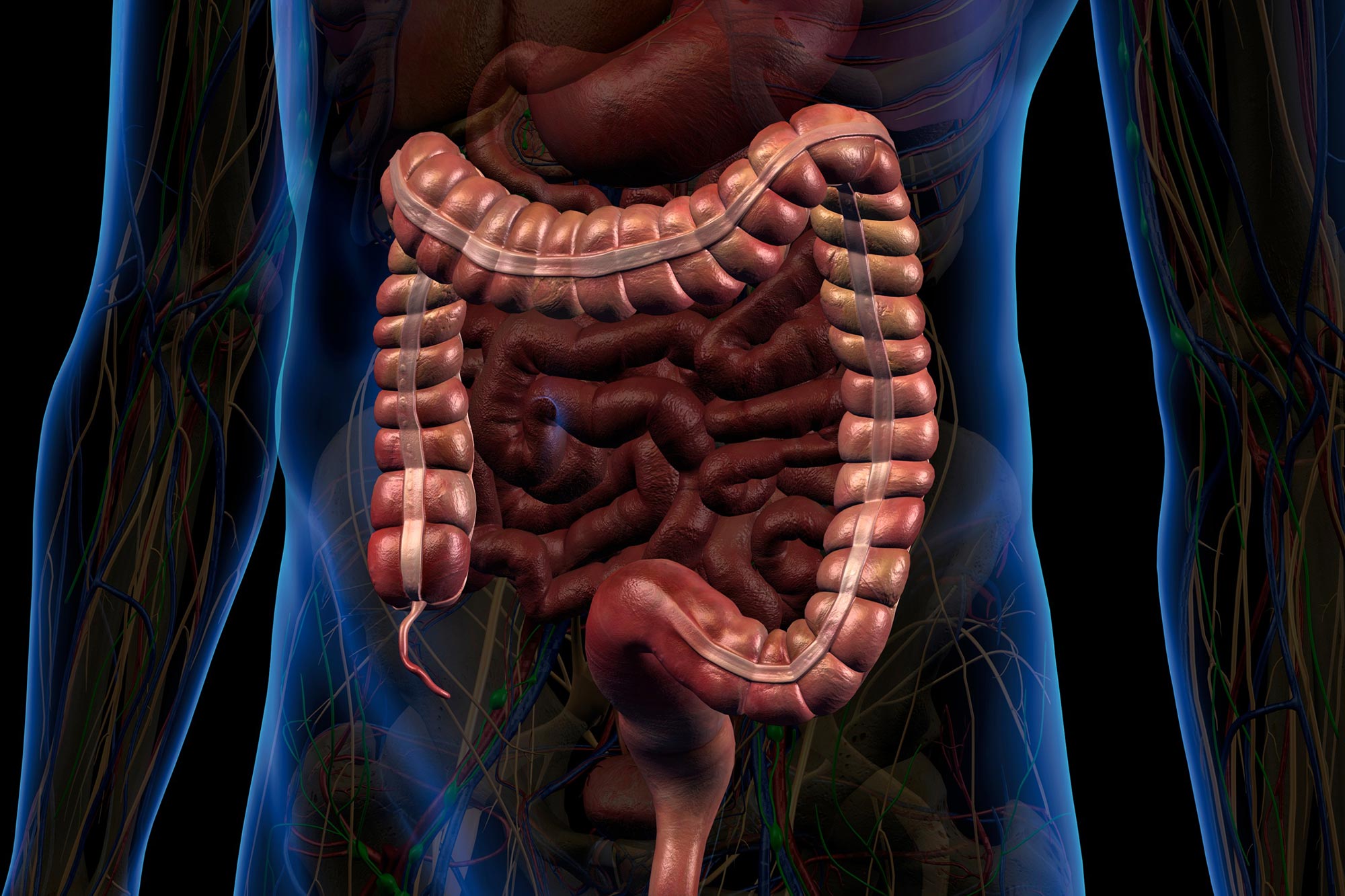 Featured image for Caltech Unveils Smart Pill for Real-Time Gut Monitoring