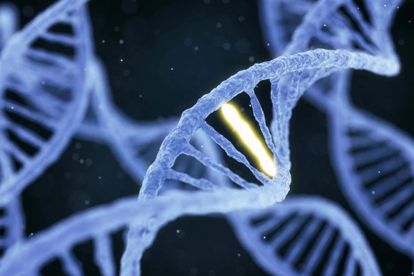 Featured image for Link Between Rare Embryo Mutations and Schizophrenia Risk Sparks Treatment Concerns