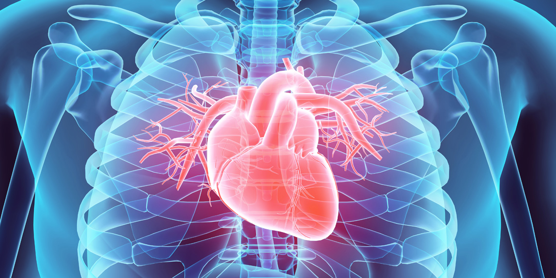 "Study reveals psychopathic women have diminished cardiac defense responses"