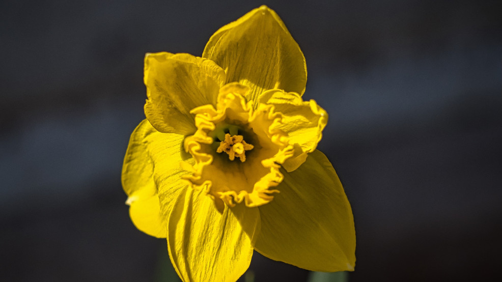 Featured image for "From Record Warmth to Lake Effect Snow: February's Wild Weather Swings"