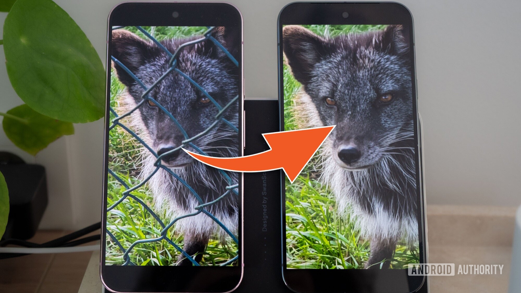 Featured image for Google Photos Removes Fences for Unrestricted Viewing