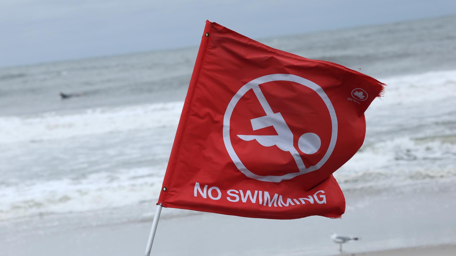 Featured image for Multiple tropical systems form in Atlantic as Hurricane Erin recedes