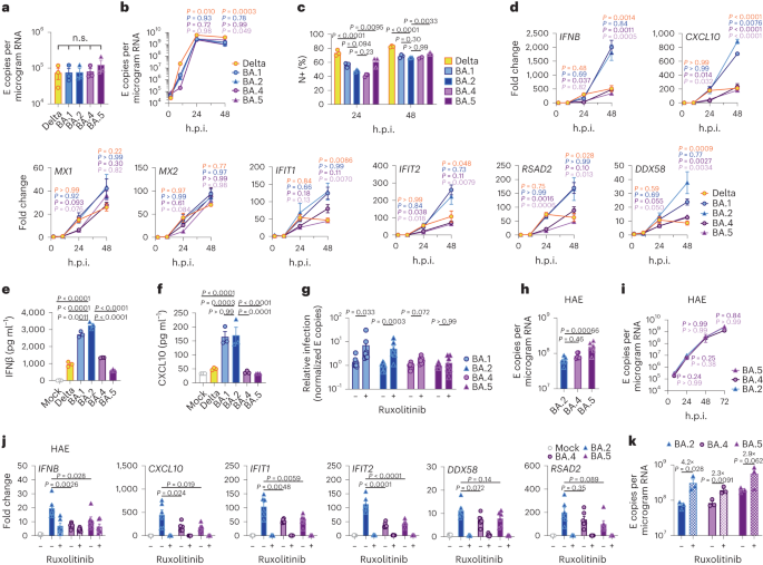 Featured image for "Omicron Subvariants: Adapting Immune Evasion Tactics in COVID-19 Evolution"