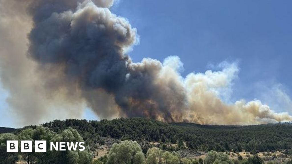 Featured image for Turkey Wildfires Claim 10 Lives and Injure 14