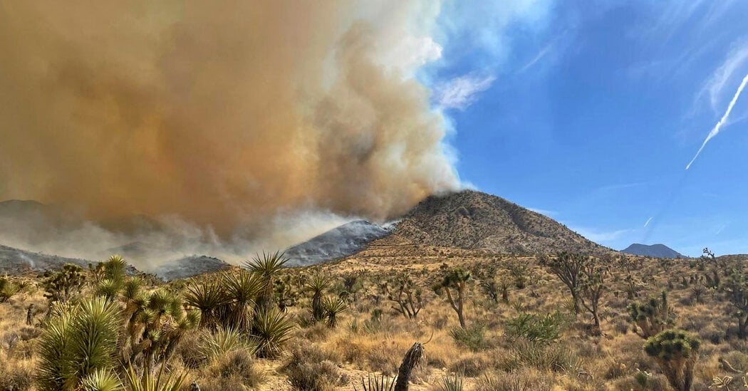 "Devastating Wildfire Engulfs California's Mojave Desert, Threatening Joshua Trees and Challenging Firefighters"