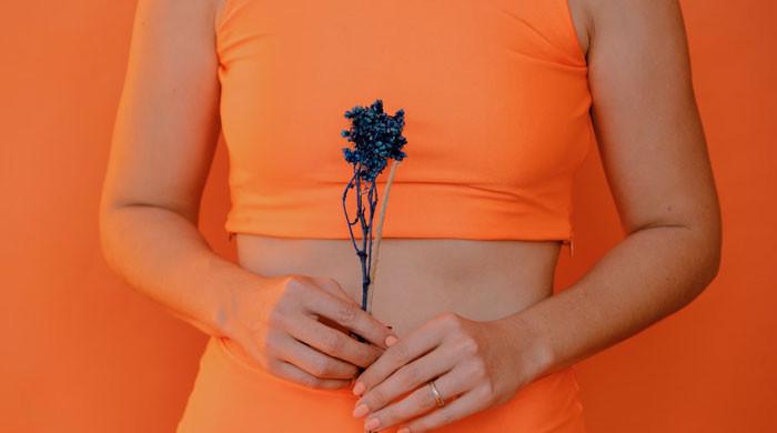 Featured image for "Supercharge Your Gut Health for a Happier, Healthier Life"