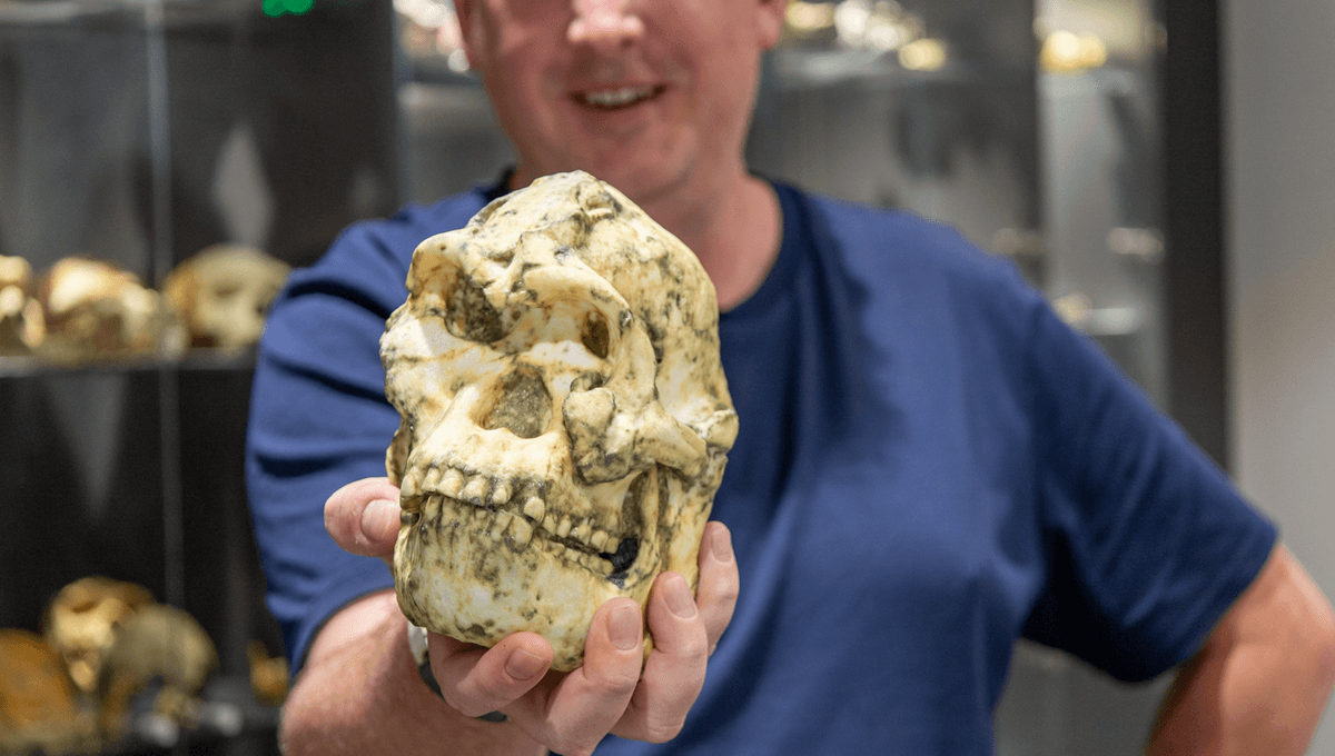 Featured image for 'Little Foot' Fossil Could Represent a New Human Ancestor Species