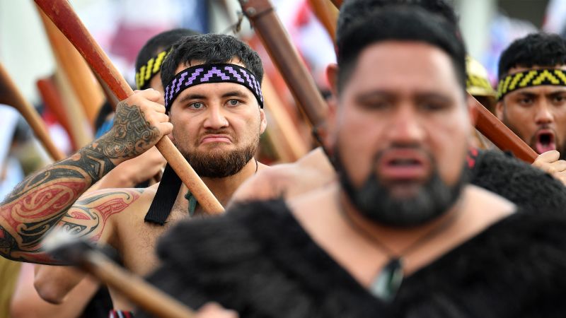 Featured image for Thousands Rally in New Zealand for Māori Rights Amid Controversial Bill
