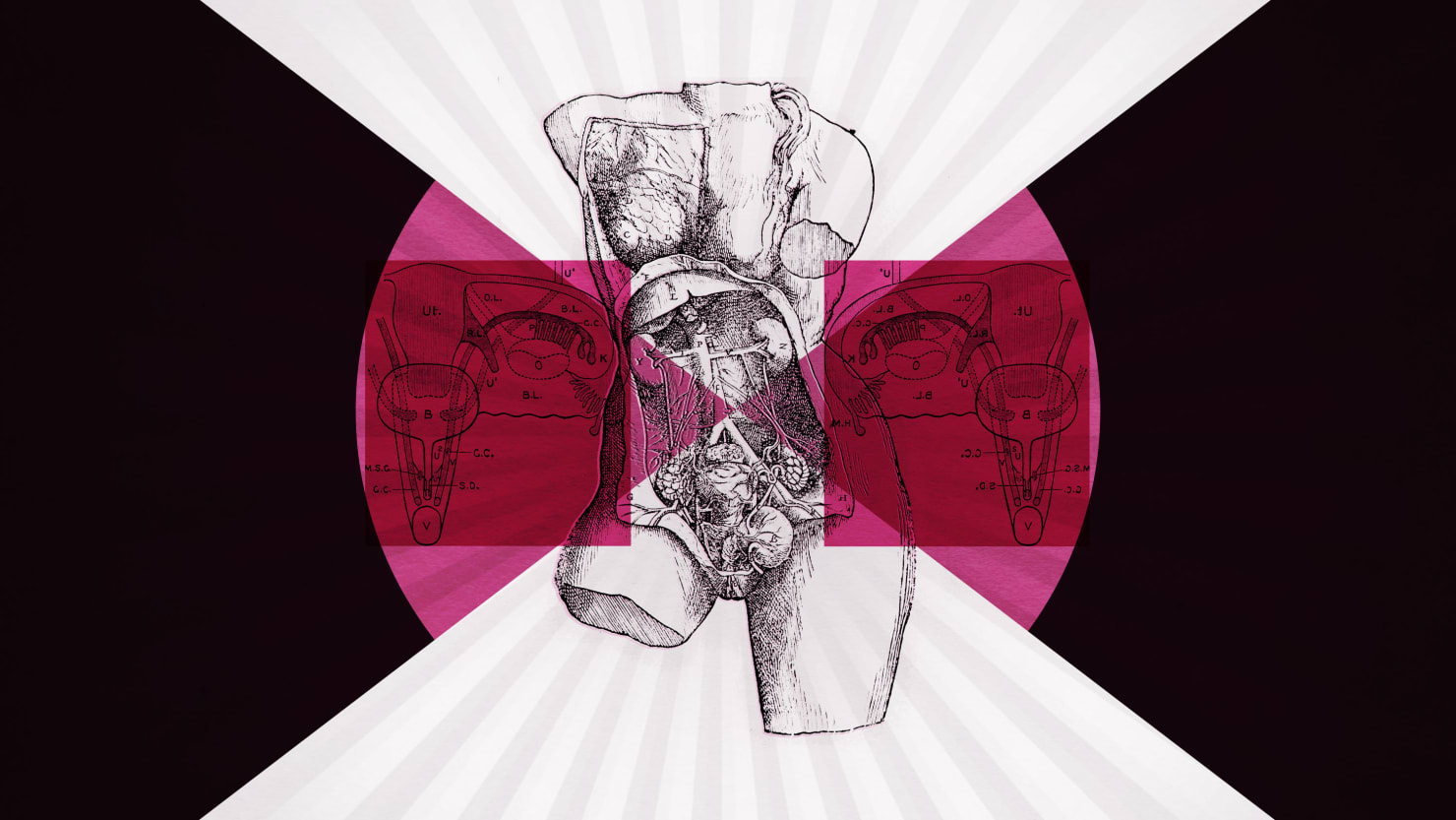 Featured image for Stop Medical Gaslighting of Menopausal Women.