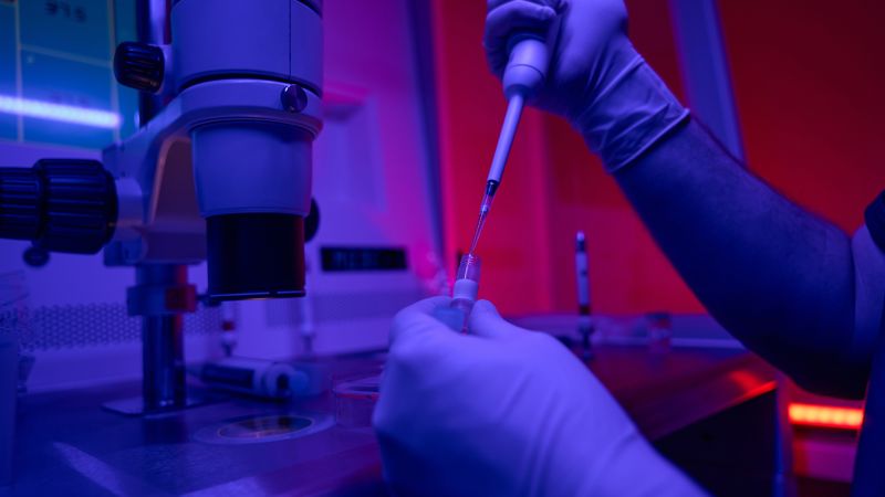 Featured image for Scientists create first synthetic human embryo model.