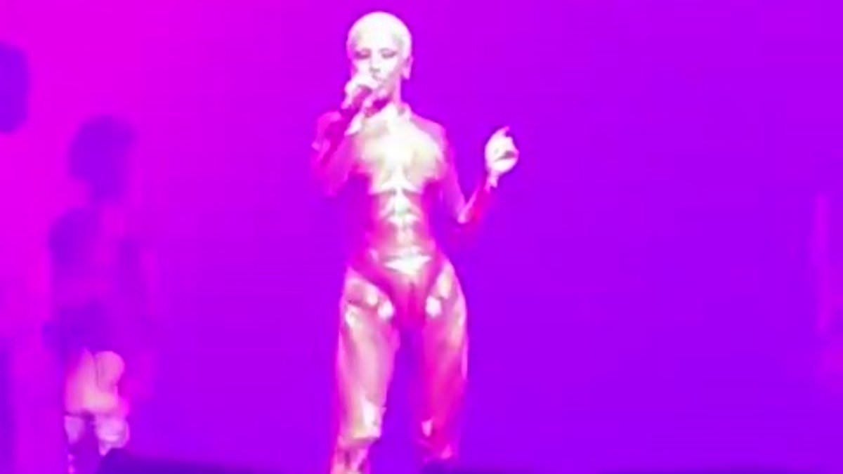 Doja Cat's Comical Response to Mic Malfunction During Concert